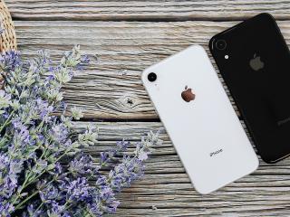 Có nên mua iPhone XR trong năm 2020 này không?