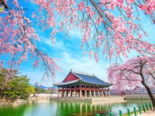 MinMobile chuyển tiền sang Hàn Quốc uy tín số 1 Hải Phòng