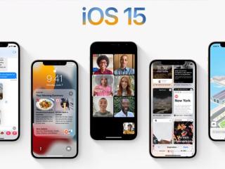 Bạn đã cập nhật iOS 15 chưa?