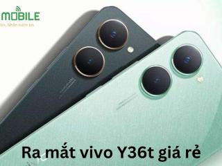 Ra mắt vivo Y36t giá rẻ