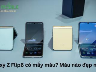 Galaxy Z Flip6 có mấy màu? Màu nào đẹp nhất?