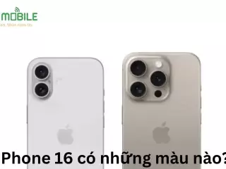 iPhone 16 có những màu nào?