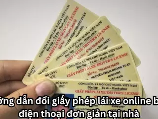 Hướng dẫn đổi giấy phép lái xe online bằng điện thoại đơn giản tại nhà