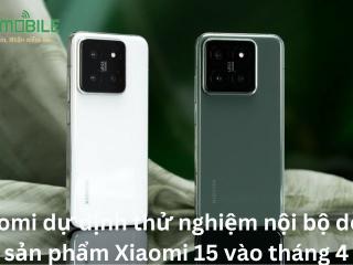 Xiaomi dự định thử nghiệm nội bộ dòng sản phẩm Xiaomi 15 vào tháng 4