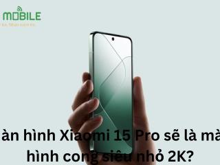 Màn hình Xiaomi 15 Pro sẽ là màn hình cong siêu nhỏ 2K?