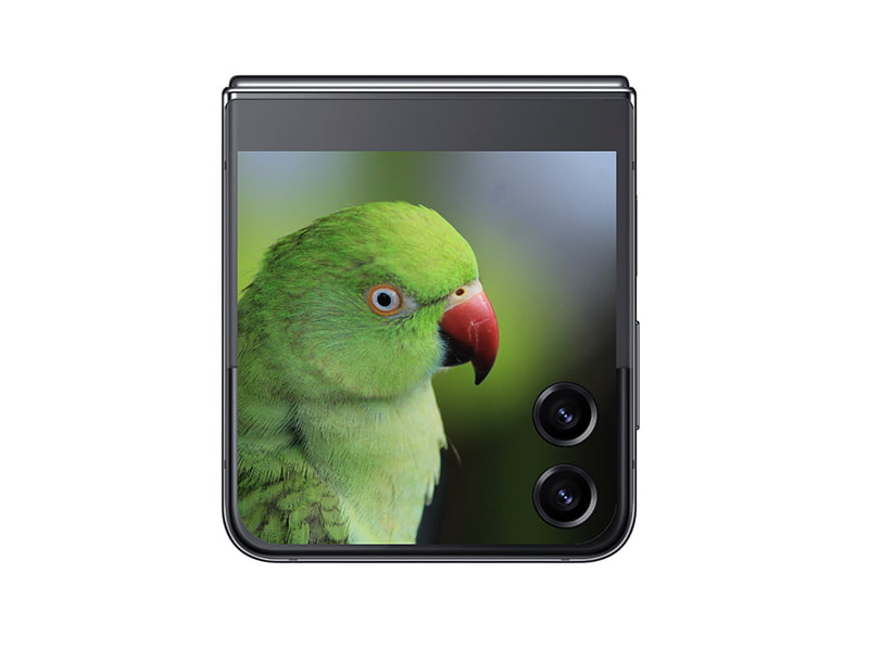 mat-truoc-samsung-galaxy-z-flip-5-5g.jpeg (36 KB)