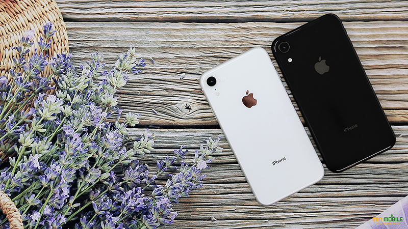 So sánh iPhone 11 và iPhone XR về camera