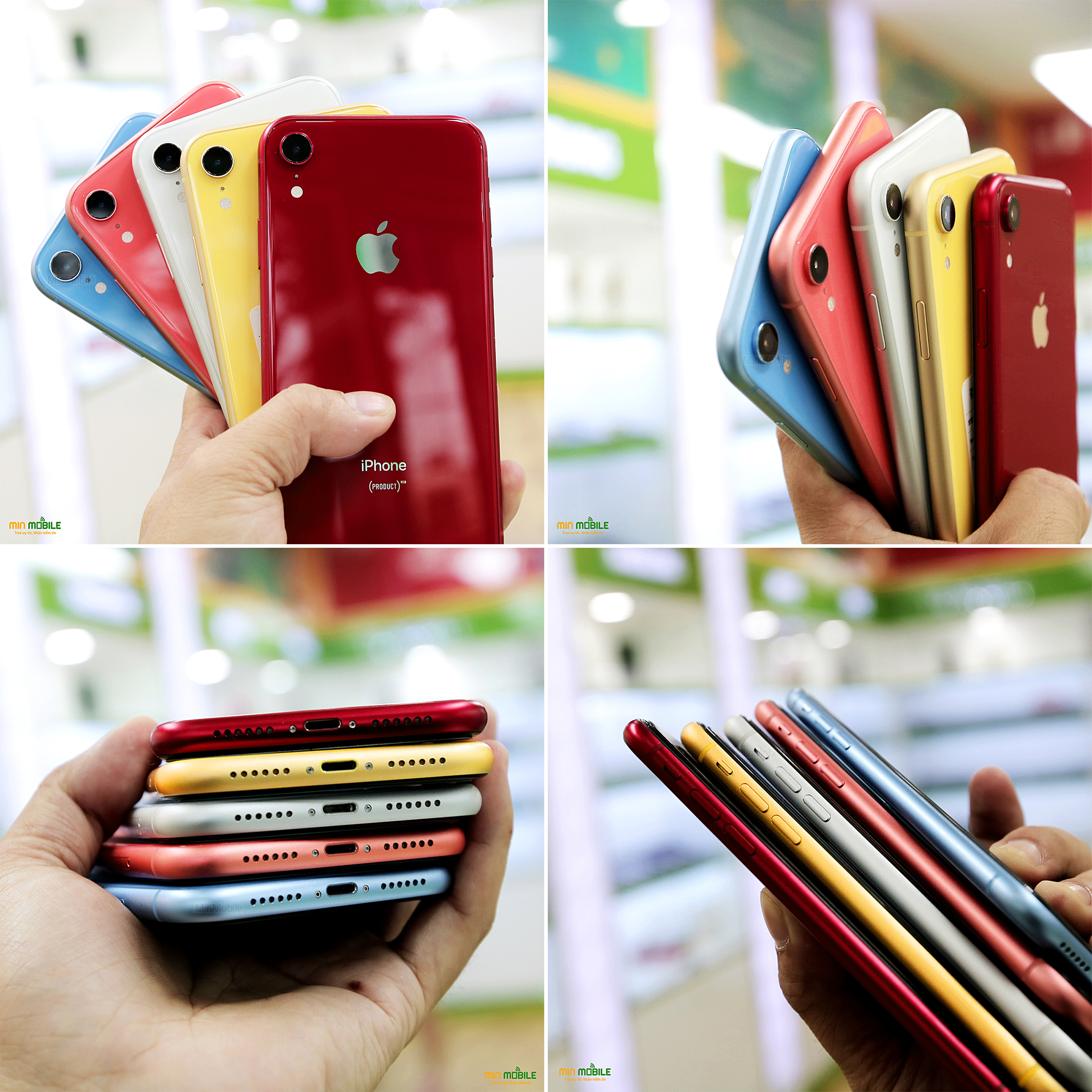 iPhone XR có nhiều màu sắc trẻ trung, năng động