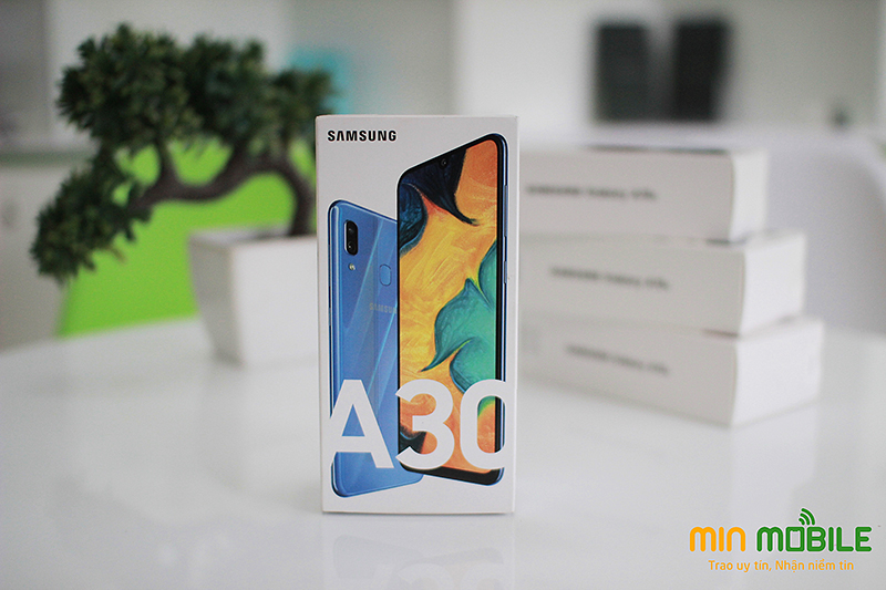 Samsung Galaxy A30 2 sim