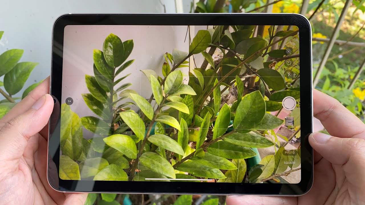 Camera của iPad Mini 6