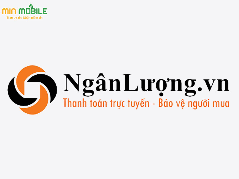Ví Ngân lượng đã tồn tài và phát triển tại thị trường Việt Nam trong rất nhiều năm